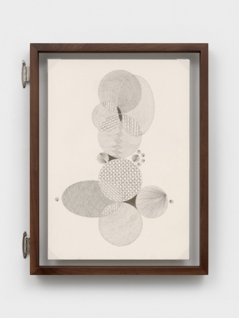 Johanna Unzueta, A leaf from another tree I, 2026 , Casey Kaplan