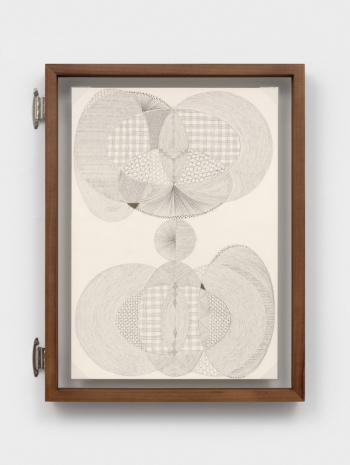 Johanna Unzueta, A leaf from another tree II, 2026 , Casey Kaplan