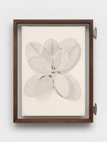 Johanna Unzueta, A leaf from another tree III, 2026, Casey Kaplan