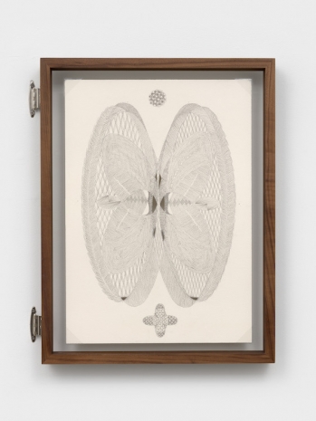 Johanna Unzueta, A leaf from another tree V, 2026, Casey Kaplan