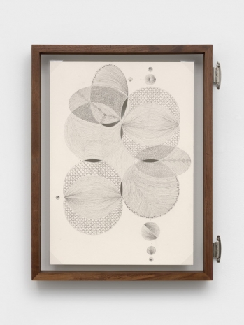 Johanna Unzueta, A leaf from another tree VII, 2026, Casey Kaplan