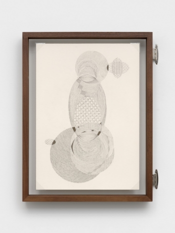 Johanna Unzueta, A leaf from another tree VIII, 2026, Casey Kaplan
