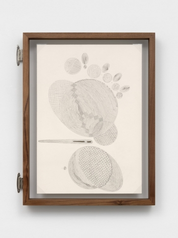Johanna Unzueta, A leaf from another tree IX, 2026, Casey Kaplan