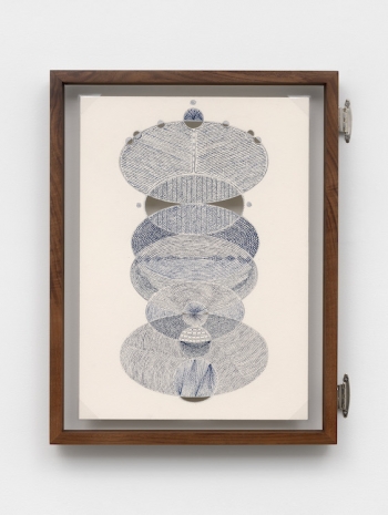 Johanna Unzueta, A leaf from another tree X, 2026, Casey Kaplan