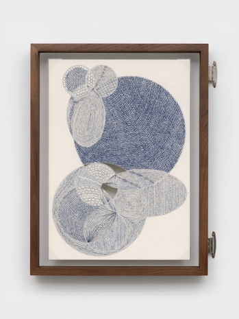 Johanna Unzueta, A leaf from another tree XII, 2026, Casey Kaplan