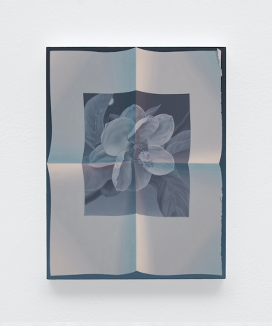 Olivia Jia, Page unfolded (magnolia sieboldii), 2026 , The Approach