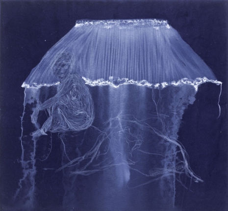 Alex Müller , Die Fidschinacht, 2016 , Galerie Nordenhake