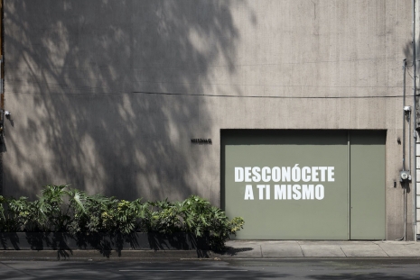 Lázaro Gabino Rodríguez, Desconócete a ti mismo, 2026, Galerie Nordenhake