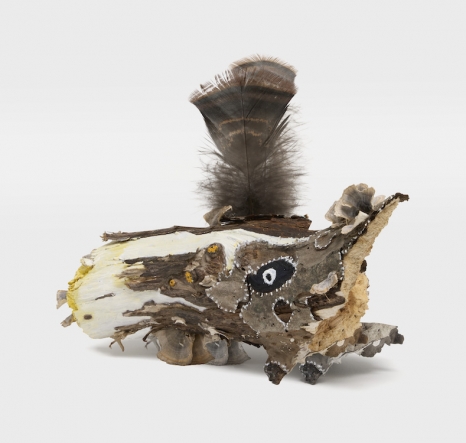 Leidy Churchman, Turquoise Turkey Tail Bandit, 2026 , Matthew Marks Gallery