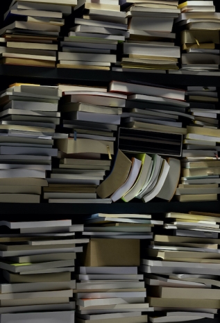 Thomas Demand, Books, 2025 , Matthew Marks Gallery