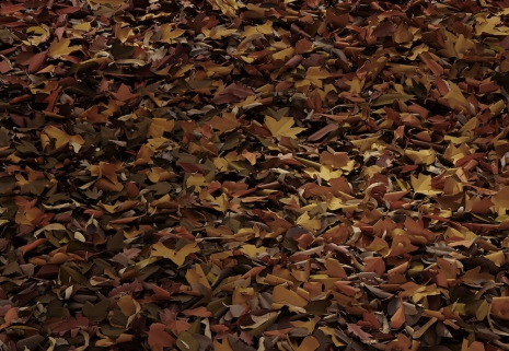 Thomas Demand, Autumn, 2026 , Matthew Marks Gallery