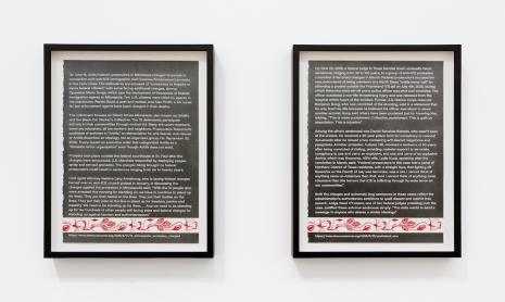Andrea Bowers, The Right to Peaceful Protest (Minneapolis 15 and Prairieland 9), 2026 , Andrew Kreps Gallery