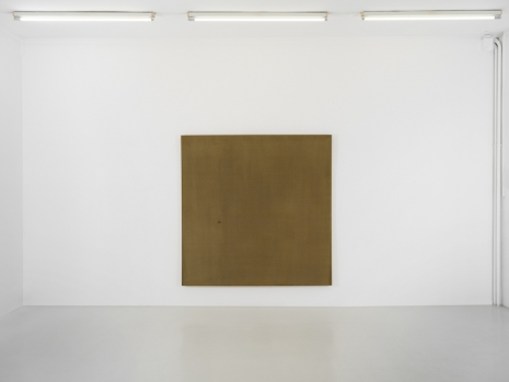 Pierre André Ferrand, IC XC, 2010 , SKOPIA