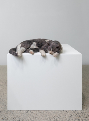 Ryan Gander , The thermals made me lazy, or The squatters (Smoky meet Monk’s Deflated Sculpture II (2009)), 2020 , Lisson Gallery