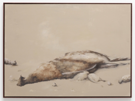 Anna Munk, Clair-Obscur, 2026, Galleri Nicolai Wallner