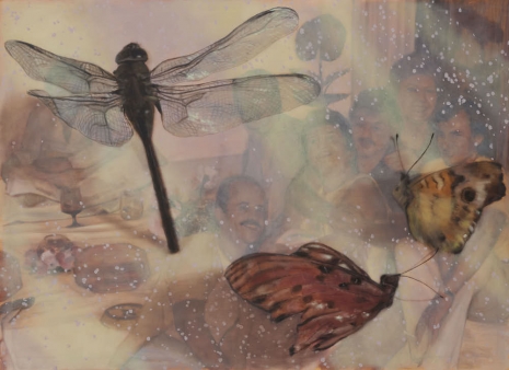 Nada Elkalaawy, The Butterfly's Burden, 2026, Lawrie Shabibi