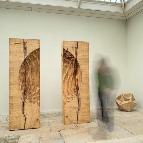 Alison Crowther, Anatomy of a Tree, 2026 , NewArtCentre.