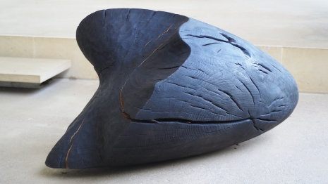 Alison Crowther, Charred Cone, 2025 , NewArtCentre.