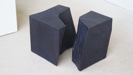 Alison Crowther, Scorched Firesiders I, 2024 , NewArtCentre.