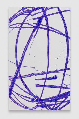 Elise Nguyen Quoc, Absolument pas, 2026 , Herald St