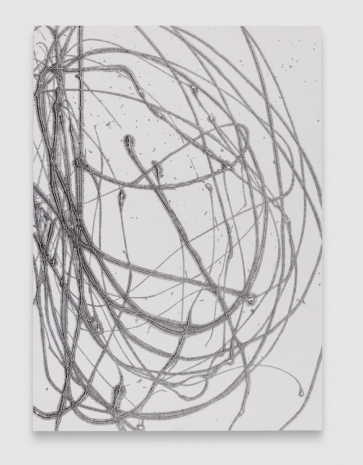 Elise Nguyen Quoc, Holes are powerful attractors, 2026 , Herald St