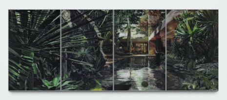 Gil Heitor Cortesão, Draco’s pool, 2026 , Pedro Cera