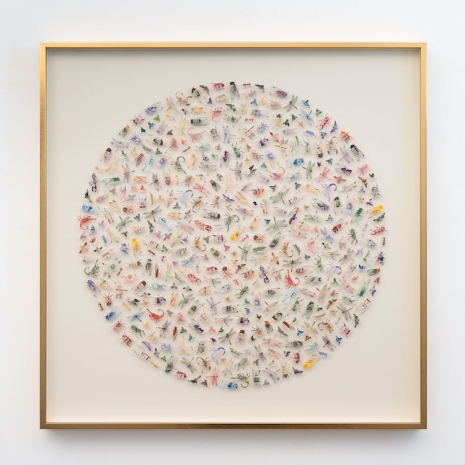 Carlos Aires , MONEY MAKES THE WORLD GO ROUND XXXI, 2026  , Sabrina Amrani
