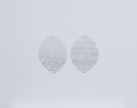 Waqas Khan, Transpired, 2021 , Sabrina Amrani