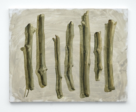 Shinichiro Kano , Material, 2011 , STANDARD (OSLO)
