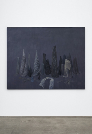 Simona Runcan , Conviețuiri silențioase / Silent Cohabitations, 2005-2007 , STANDARD (OSLO)