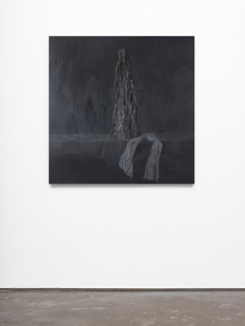 Simona Runcan , Conviețuiri silențioase / Silent Cohabitations, 1999-2007 , STANDARD (OSLO)