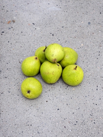 Cally Spooner , Still Life, 2018 , STANDARD (OSLO)