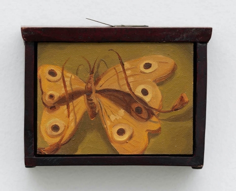 Dominique Fung, An Archive of Small Lives, 2026 , MASSIMODECARLO