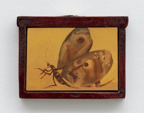 Dominique Fung, Everything Once Lived, 2026 , MASSIMODECARLO