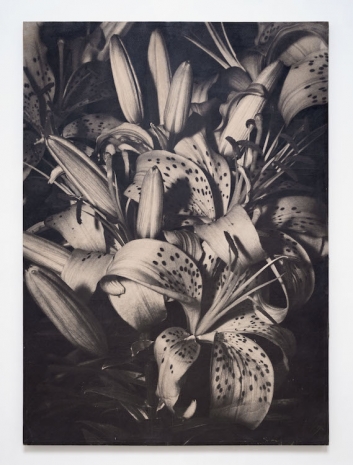 Kunié Sugiura , Lilies, 1970-1971 , galerie frank elbaz
