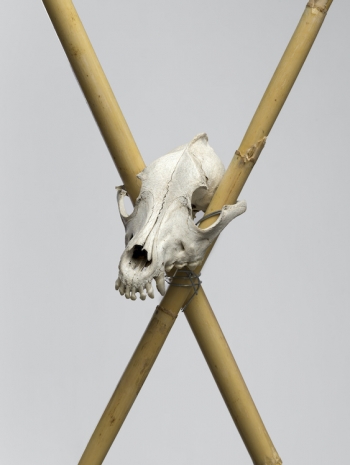 Peppi Bottrop, , , Sies + Höke Galerie