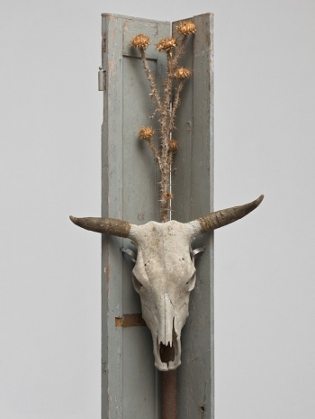 Peppi Bottrop, keine Angst IDE III, 2026   , Sies + Höke Galerie