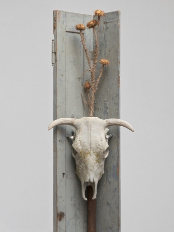 Peppi Bottrop, keine Angst IDE II, 2026   , Sies + Höke Galerie