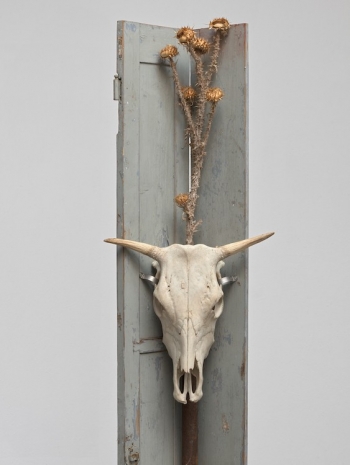 Peppi Bottrop, keine Angst IDE I, 2026   , Sies + Höke Galerie