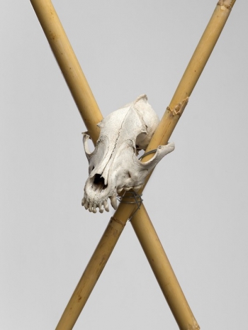 Peppi Bottrop, keine Angst VI, 2026   , Sies + Höke Galerie