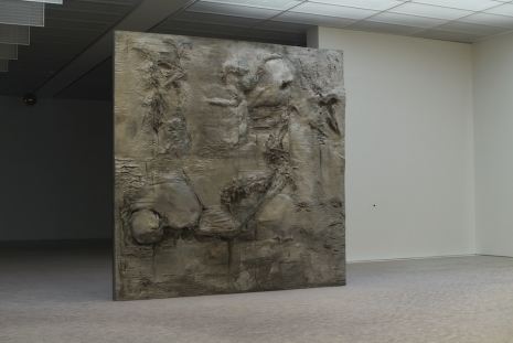 Pierre Huyghe , Adversary, 2026, Galerie Chantal Crousel