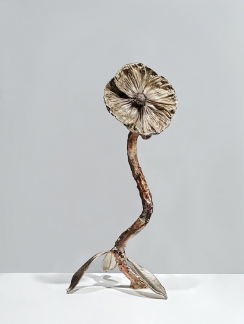 Julie Hamisky, La Mini, 2026, Galerie Mitterrand