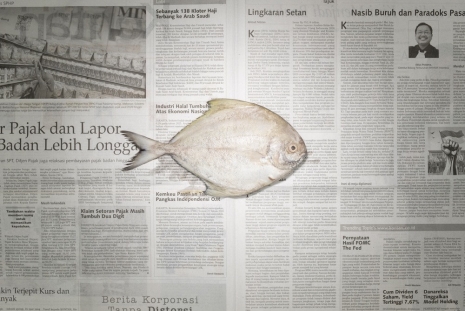 Chow and Lin , The Poverty Line - Indonesia 2026 - Pomfret , 2010 - 2026, ShanghART