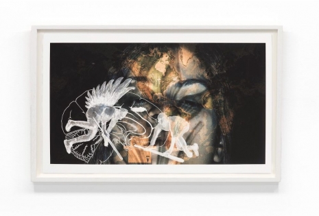 Nalini Malani, My hope is the last breath. My hope is the first battle., 2015, Galerie Lelong
