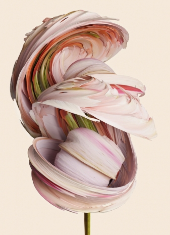 Vincent Fournier, Rosa aetherialis #2 [Novathis-458b], 2024  , Au Cube