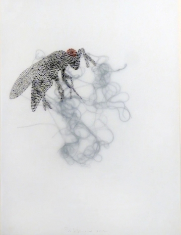 Rob Wynne , Hornet, 2012 , GAVLAK