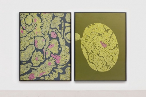 Bharti Kher, My inside out, 2013, Perrotin