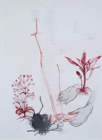 Mithu Sen, Cannibal Lullaby #2, 2013, Galerie Nathalie Obadia