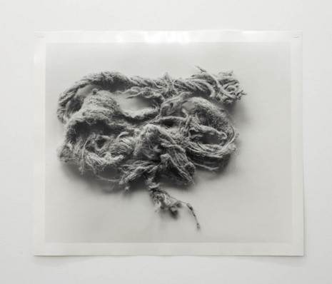 N. Dash, Untitled, 2013, Art : Concept