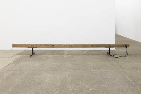 Tom Burr, Straightness, 2013, Bortolami Gallery